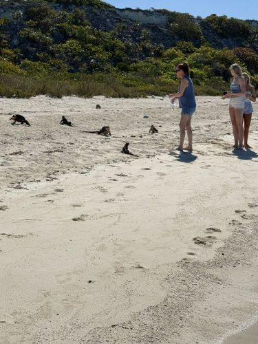 IMG-20250319-WA0113