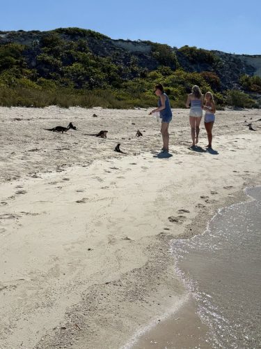 IMG-20250319-WA0114